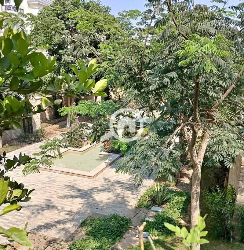 6 525952310_731369846272953_9222573657657291072_n. jpg