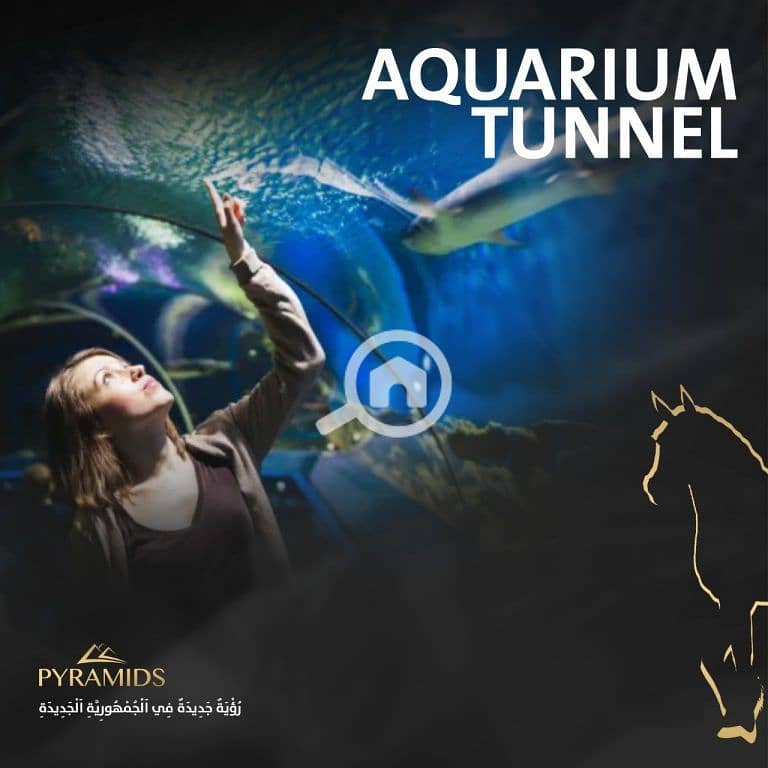 33 Mega-Mall-New-Capital-768x768. jpg