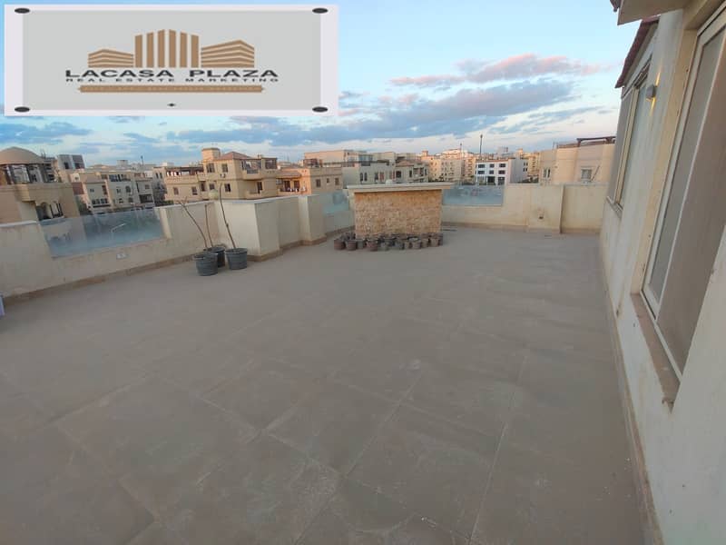 11 IMG20260128172558. jpg