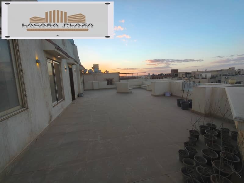 16 IMG20260128172633. jpg