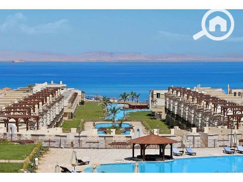 2 438237464_1459618991406905_932079030486365820_n. jpg