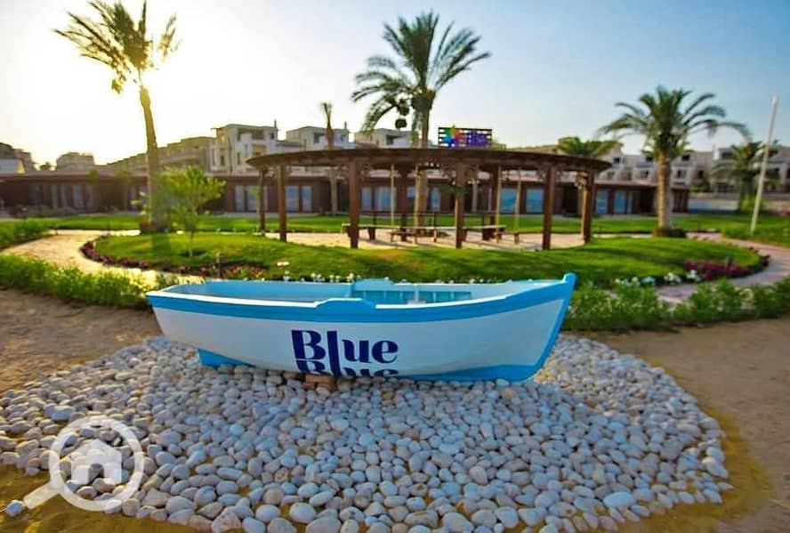 15 482197797_514131008050662_2943304604260631931_n. jpg