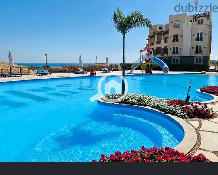 17 Screenshot_٢٠٢٤٠٧١٧_١٩١١٤٠_edit_26541273984978. jpg