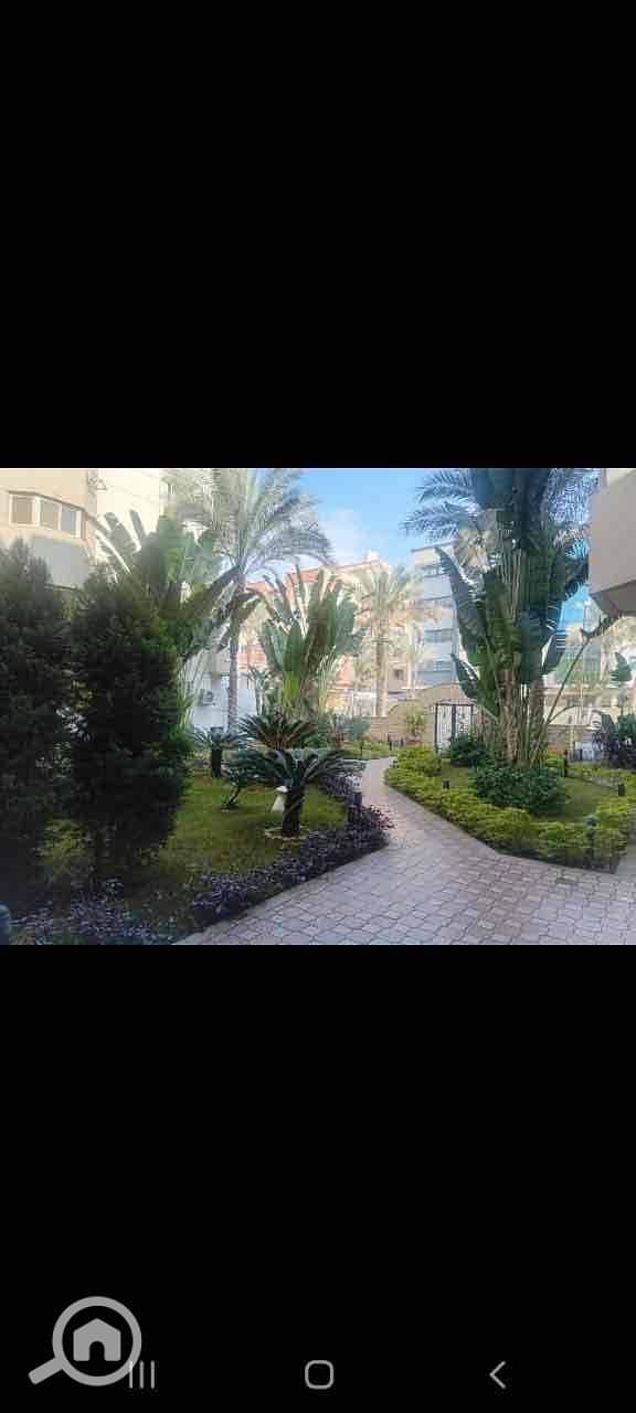 2 135e53c4-319a-49cd-9ff1-e7936503749a. jpg