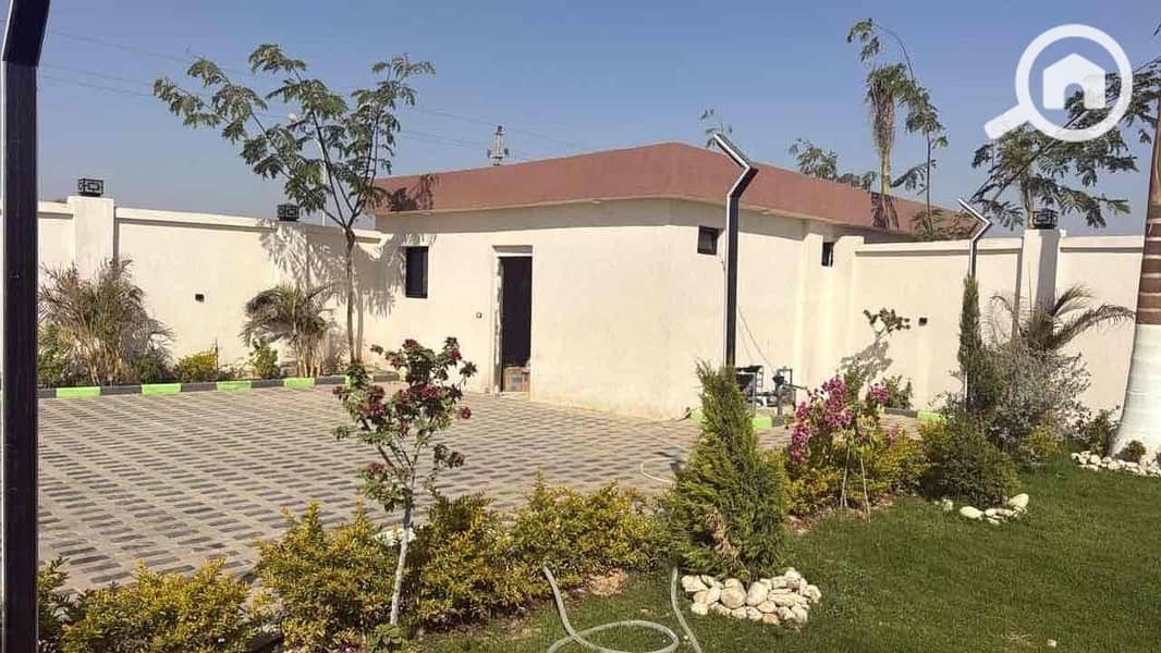 11 21a56096-69da-4627-91c4-4d51e59ab49a. jpg