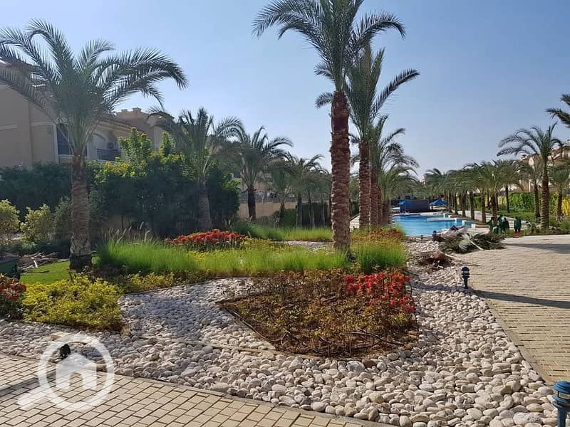 6 568957344_1177244890923653_8769201473316142795_n. jpg