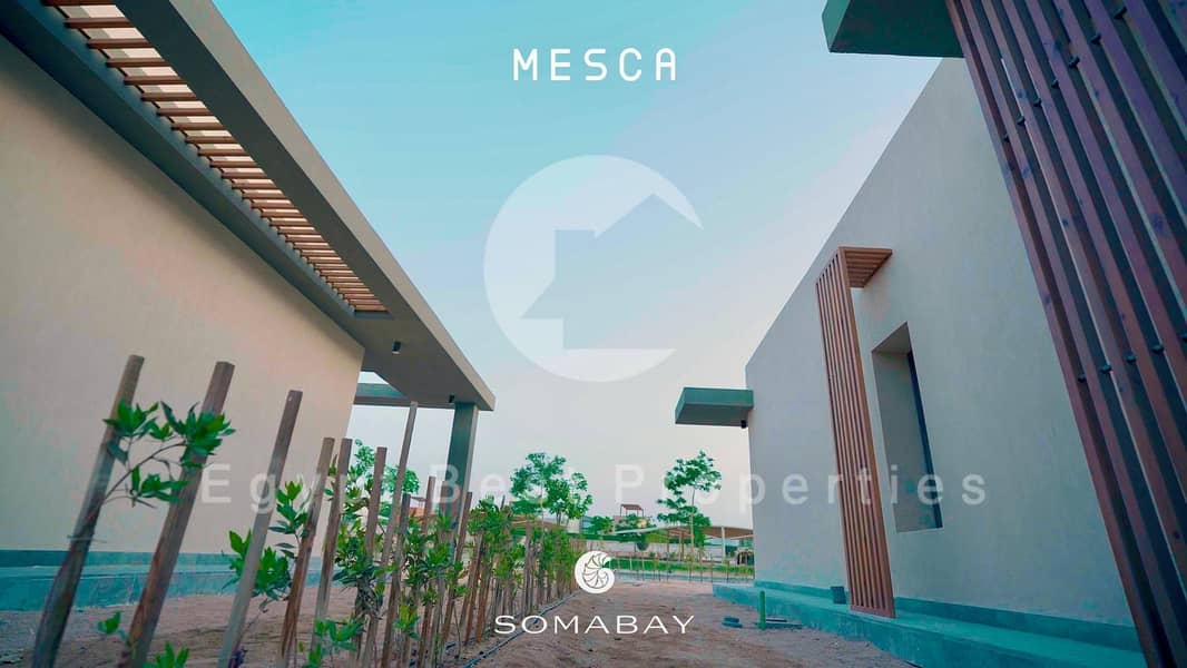 13 WhatsApp Image 2025-09-28 at 18.06. 22_182890d3. jpg