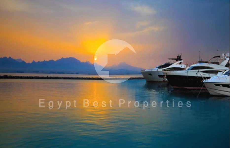 5 Screenshot 2025-08-17 155113. png