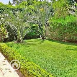 6 612391166_1586580875685453_2636820091226875125_n. jpg