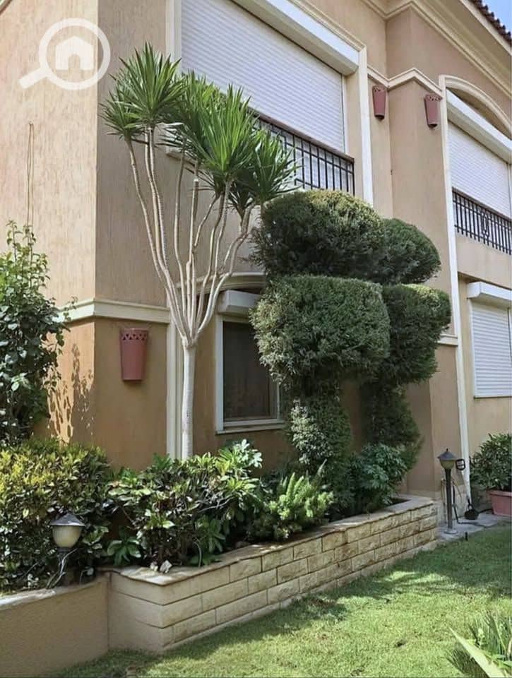 5 506051348_2222955341491781_1732043205123400314_n. jpg