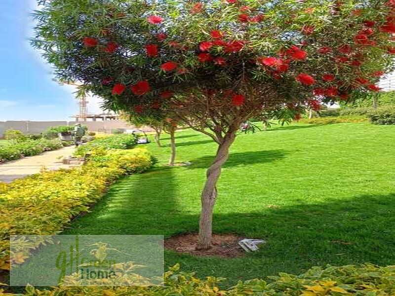 2 WhatsApp Image 2024-07-16 at 3.28. 23 PM. jpeg