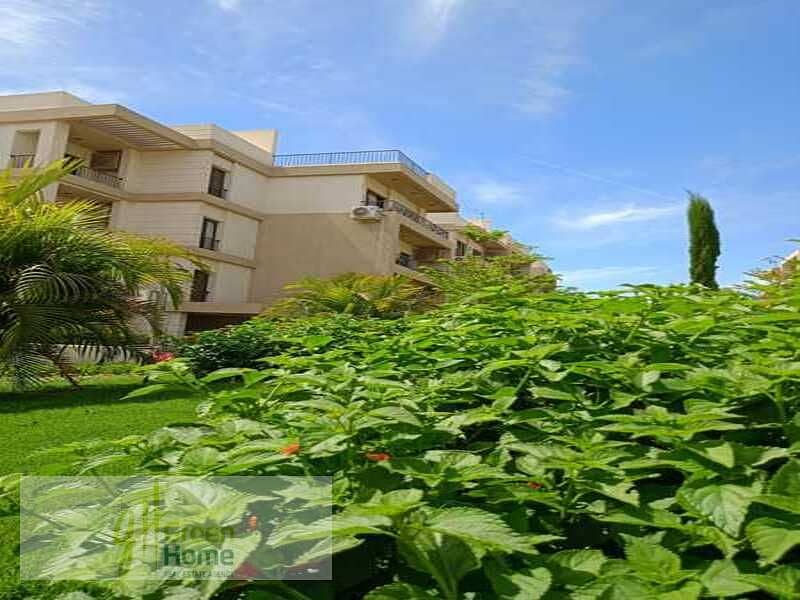 3 WhatsApp Image 2024-07-16 at 3.28. 24 PM (1). jpeg