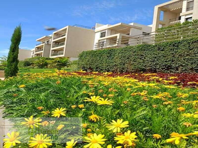 4 WhatsApp Image 2024-07-16 at 3.28. 24 PM (2). jpeg