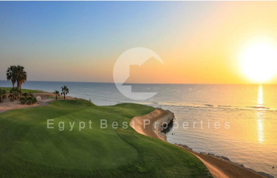 7 Screenshot 2025-08-17 155149. png