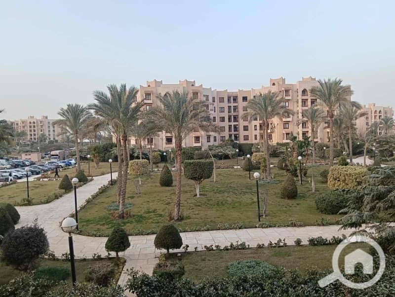 2 f16be748-c8f5-456a-b75e-aa26d324517e. jpg