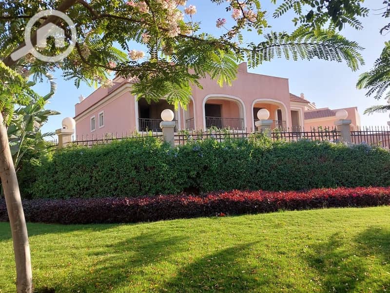 2 WhatsApp Image 2025-02-27 at 14.14. 18_e1318458. jpg