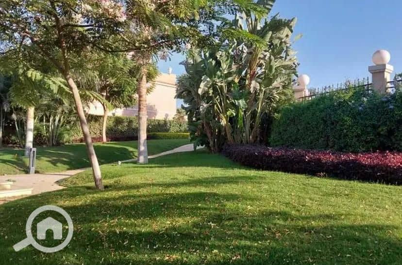 3 WhatsApp Image 2025-02-27 at 14.14. 21_c4b66ddb. jpg