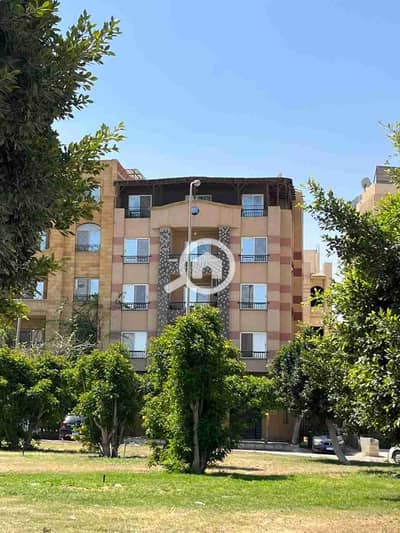 Office for Rent in New Cairo, Cairo - 68164. jpg