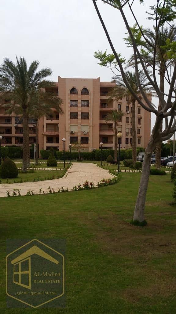 5 WhatsApp Image 2026-01-08 at 19.49. 54. jpeg