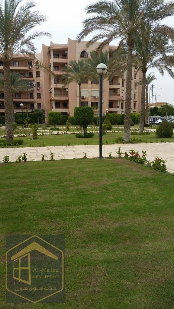 12 WhatsApp Image 2026-01-08 at 19.49. 54 (1). jpeg