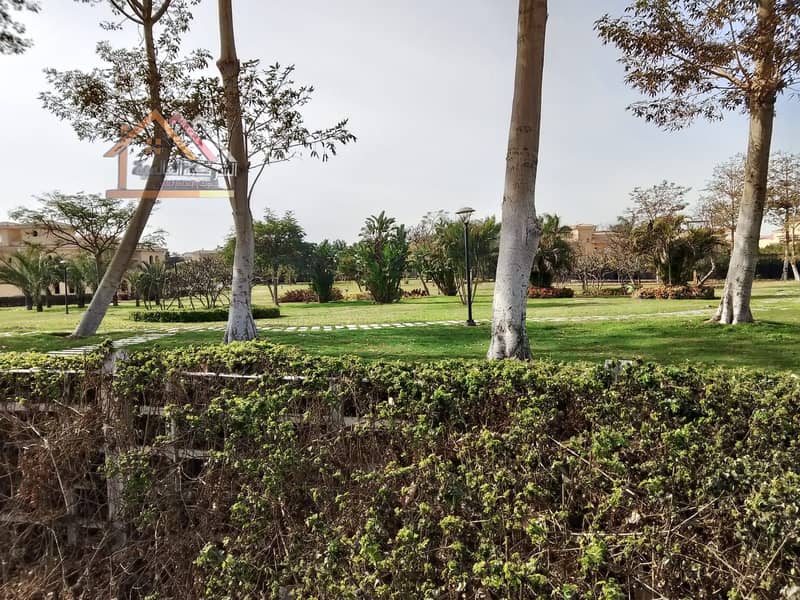 4 32cc7a64-15c5-4b8c-b907-c921ff3381ec. jpeg