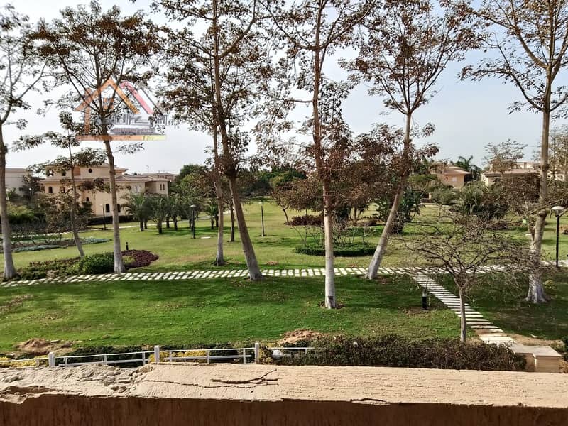 5 62bf8e4f-8ba9-4fc9-9fb6-9a69da2bcdcf. jpeg