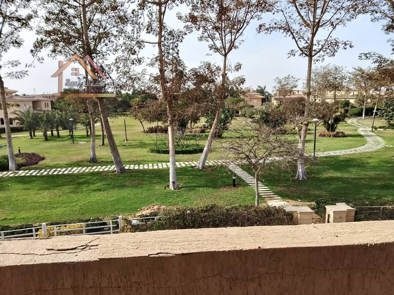 11 4011364b-55ff-4a56-81c7-741968e9c09c. jpeg