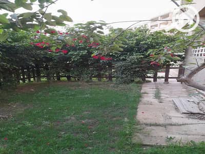 3 Bedroom Flat for Sale in Madinaty, Cairo - 672643fc-a3dc-40ed-bb44-3416e11aced2. jpg
