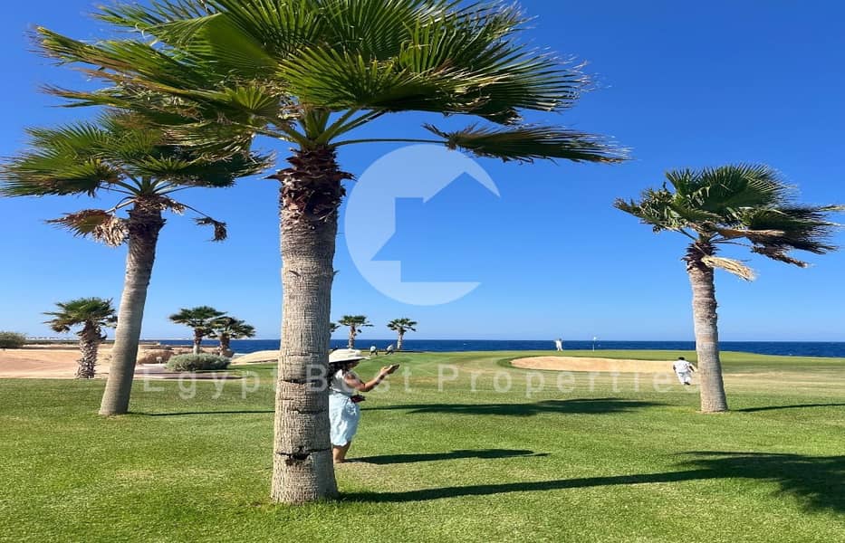 12 WhatsApp Image 2025-09-28 at 13.23. 17_b2f31dc1. jpg