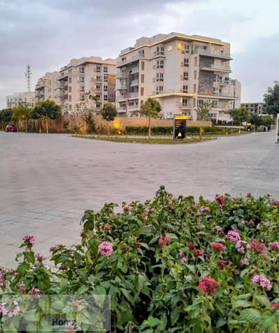 3 Bedroom Apartment for Sale in New Cairo, Cairo - IMG-20251230-WA0174~2. jpg