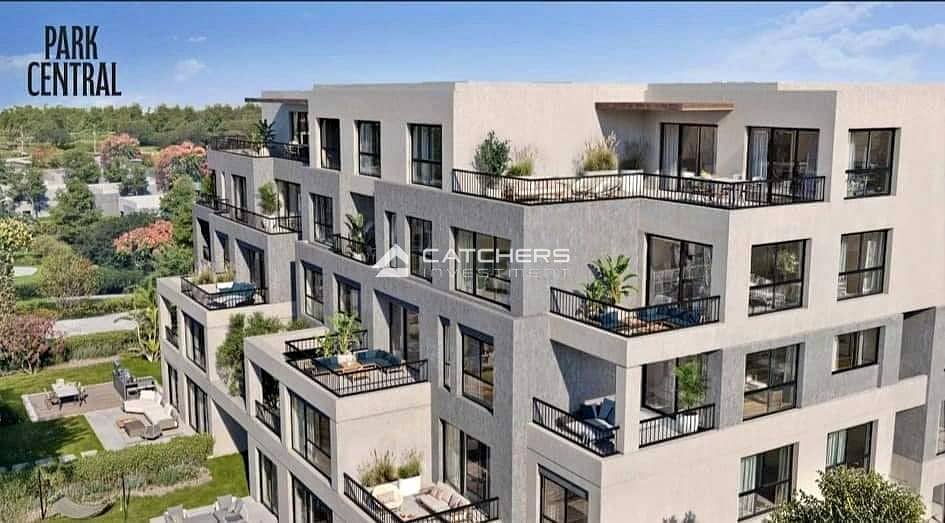 11 461716094_1076649940561664_3808257728699115387_n. jpg