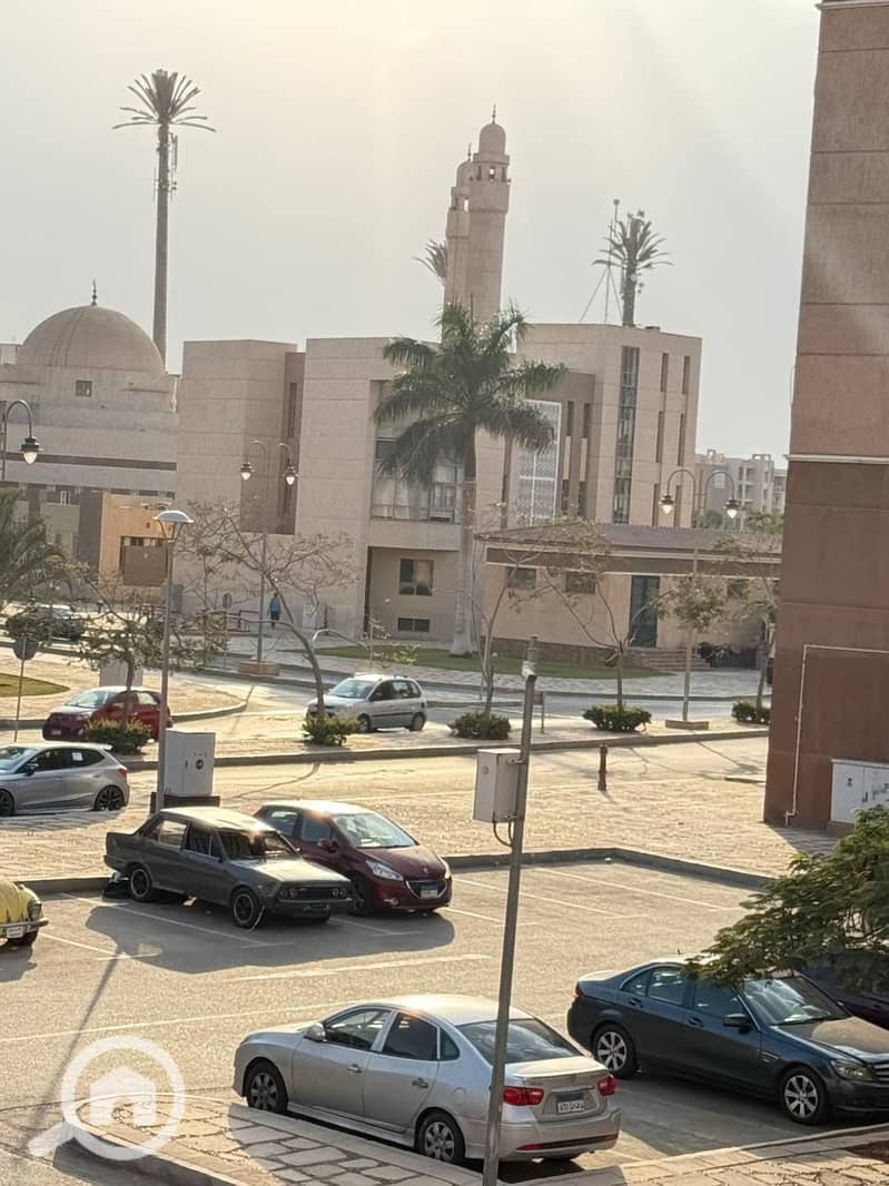 3 60dddf16-859d-4ed7-afbf-b0d9f3c4537f. jpg