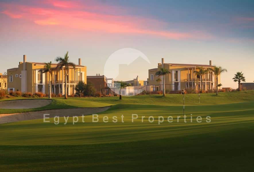 6 Allegria-Sodic-Sheikh-Zayed. jpg