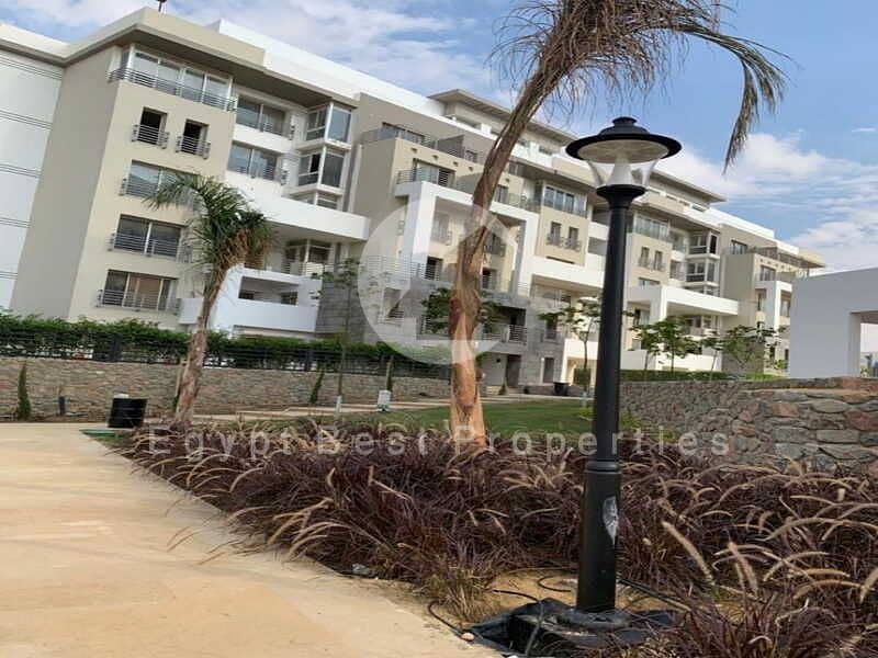 5 Hyde park new cairo live photos -17. jpg