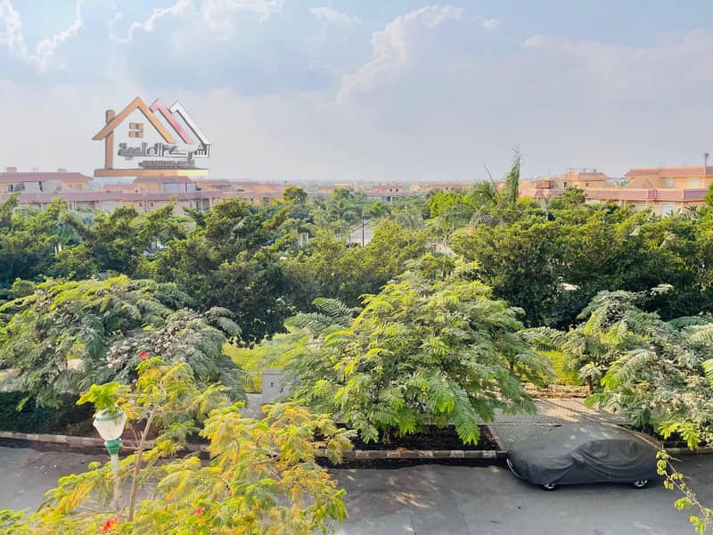 10 c883d711-f0e5-4ef7-aa48-6c8fea83b098. jpeg