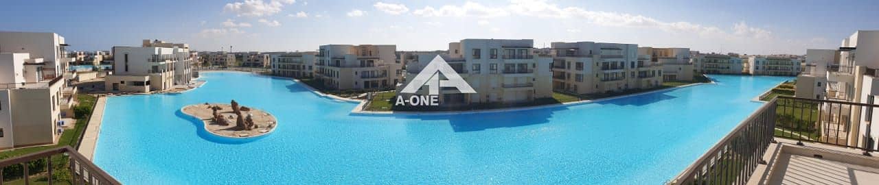 13 909b4d0c-00e7-4bf7-8310-14555b869ea6. jpg