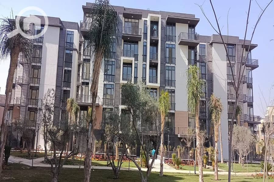 6 331743131_1253309715598760_6549897477784150294_n. jpg