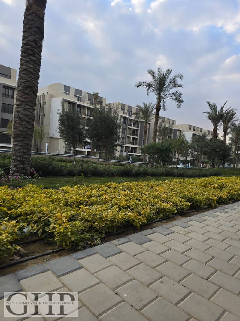 4 903f0791-cdf4-4878-87ba-2e2d71142319. jpg