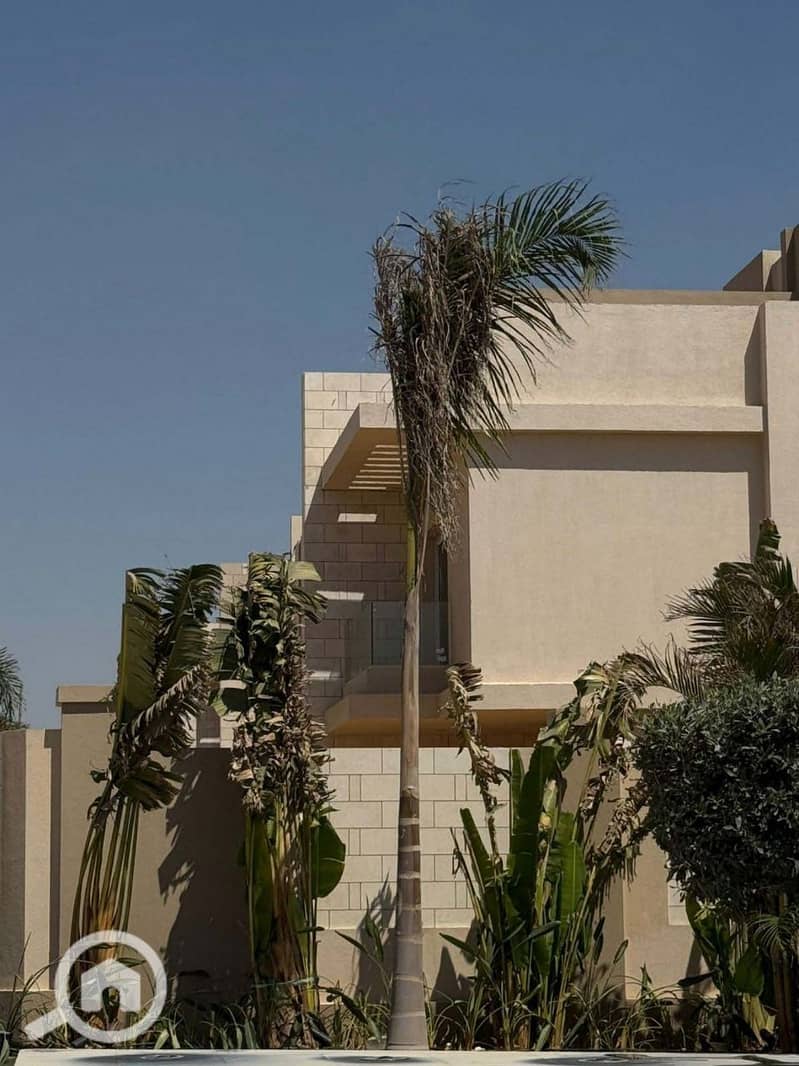 2 photo_5_2026-01-25_17-56-32. jpg