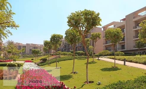 شقة 3 غرف نوم للبيع في القاهرة الجديدة، القاهرة - qqqqq. PNG شقة 3 غرف نوم للبيع في القاهرة الجديدة، القاهرة - qqqqq. PNG