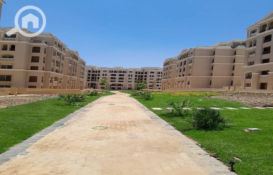 10 0ecbe188-c1cb-4494-ae4c-cf259e8e7470. jpg