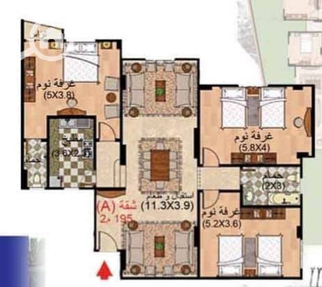 4 WhatsApp Image 2026-01-29 at 12.22. 33 PM. jpeg