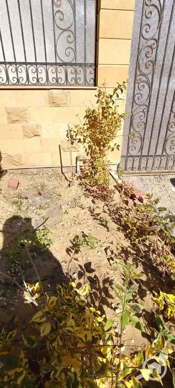 6 WhatsApp Image 2026-01-29 at 12.22. 34 PM (2). jpeg