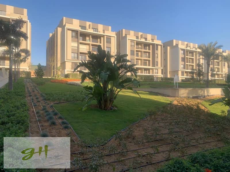 9 6e3f0384-cbf2-4a80-a665-58486d75efb3. jpg