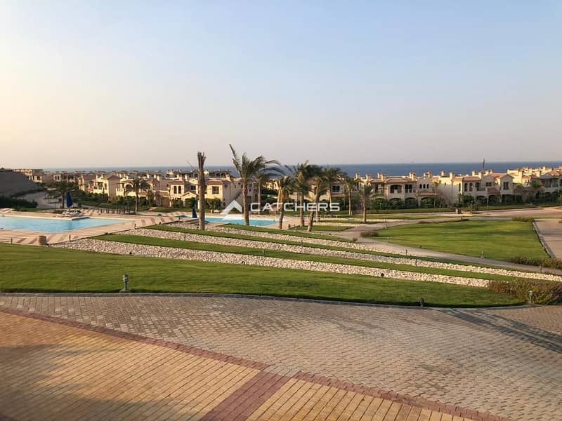 5 WhatsApp Image 2025-03-06 at 14.17. 01_2105a82e. jpg