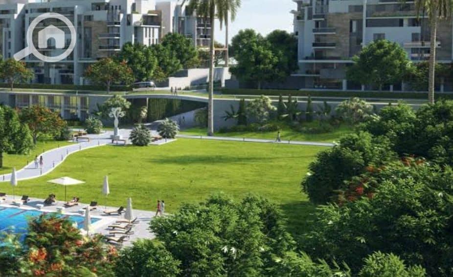 11 WhatsApp Image 2025-04-08 at 16.56. 42_a40e3e74. jpg