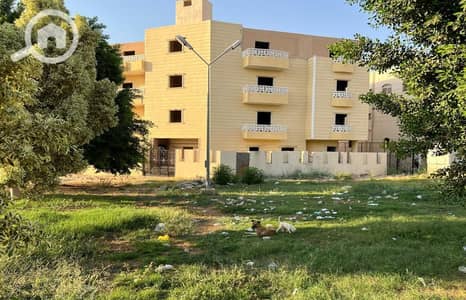 فلیٹ 3 غرف نوم للبيع في مدينة الشروق، القاهرة - WhatsApp Image 2024-08-12 at 18.25. 20. jpeg