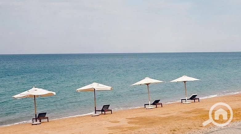 11 WhatsApp Image 2026-01-21 at 1.23. 08 PM. jpeg