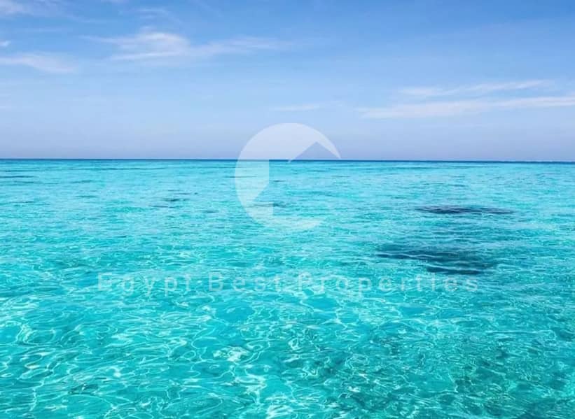 14 WhatsApp Image 2024-09-04 at 13.27. 56_4ff6245a. jpg