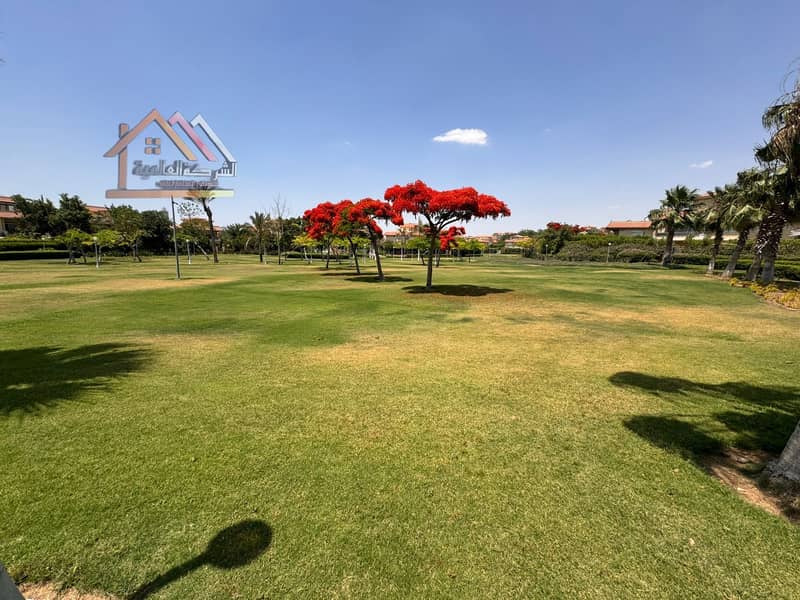 6 5aa1a078-237a-4232-8601-253b426bdf78. jpeg